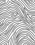 Black White Organic Wavy Lines Rug