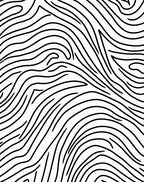 Black White Organic Wavy Lines Rug