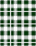 Forest Green White Buffalo Check Rug