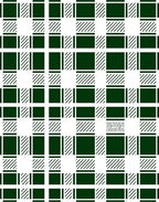 Forest Green White Buffalo Check Rug