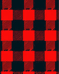 Bold Red Checkered Plaid Rug