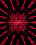 Fiery Red Starburst Bloom Ray Rug