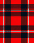 Classic Red Black Plaid Squares Rug