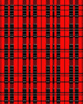 Bold Red Black Plaid Lines Rug