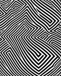 Black White Optical Illusion Maze Rug