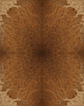 Warm Cedar Woodgrain Abstract Starburst Rug