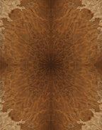 Warm Cedar Woodgrain Abstract Starburst Rug