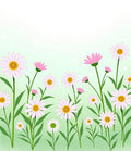 Delicate White Daisy Field Garden Rug