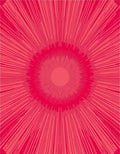 Radiant Crimson Sunburst Burst Rug