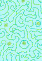 Aqua And Lime Swirl Floral Rug