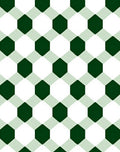 Emerald Green White Hexagon Grid Rug