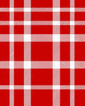 Classic Red White Plaid Check Rug