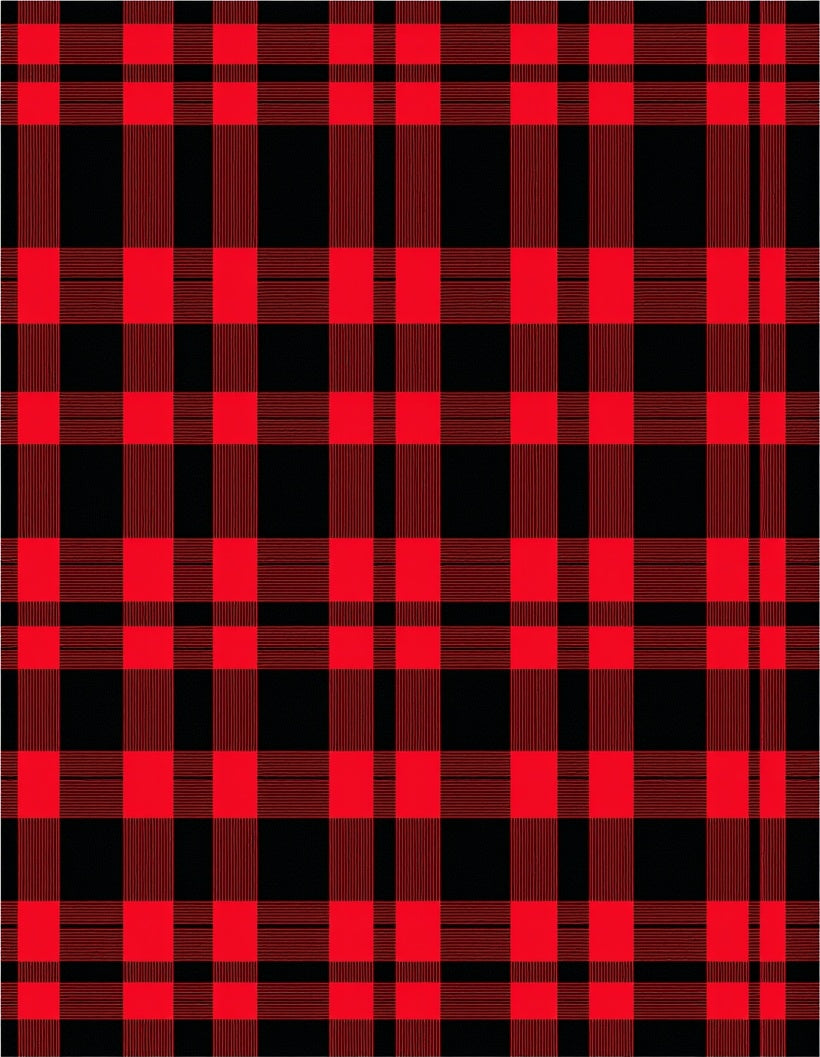 Bold Red Black Plaid Blanket Rug