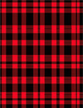 Bold Red Black Plaid Blanket Rug