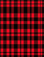 Bold Red Black Plaid Blanket Rug