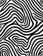 Bold Black and White Animal Print Rug