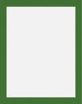 Simple Emerald Border White Canvas Rug