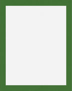 Simple Emerald Border White Canvas Rug