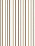 Warm Earth Tones Vertical Stripe Rug