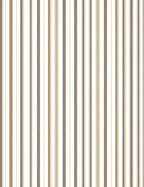 Warm Earth Tones Vertical Stripe Rug