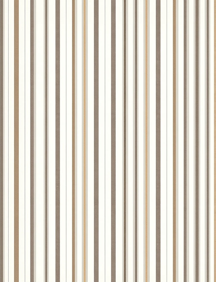Warm Earth Tones Vertical Stripe Rug