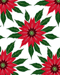 Bold Red Poinsettia Floral Medallion Rug