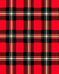 Classic Red Black Tartan Weave Rug