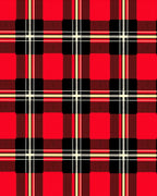 Classic Red Black Tartan Weave Rug
