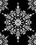 White Snowflake Mandala on Black Rug