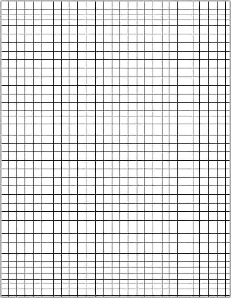 Classic Black White Grid Rug