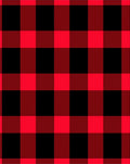 Bold Red Black Gingham Checkered Rug