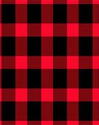 Bold Red Black Gingham Checkered Rug