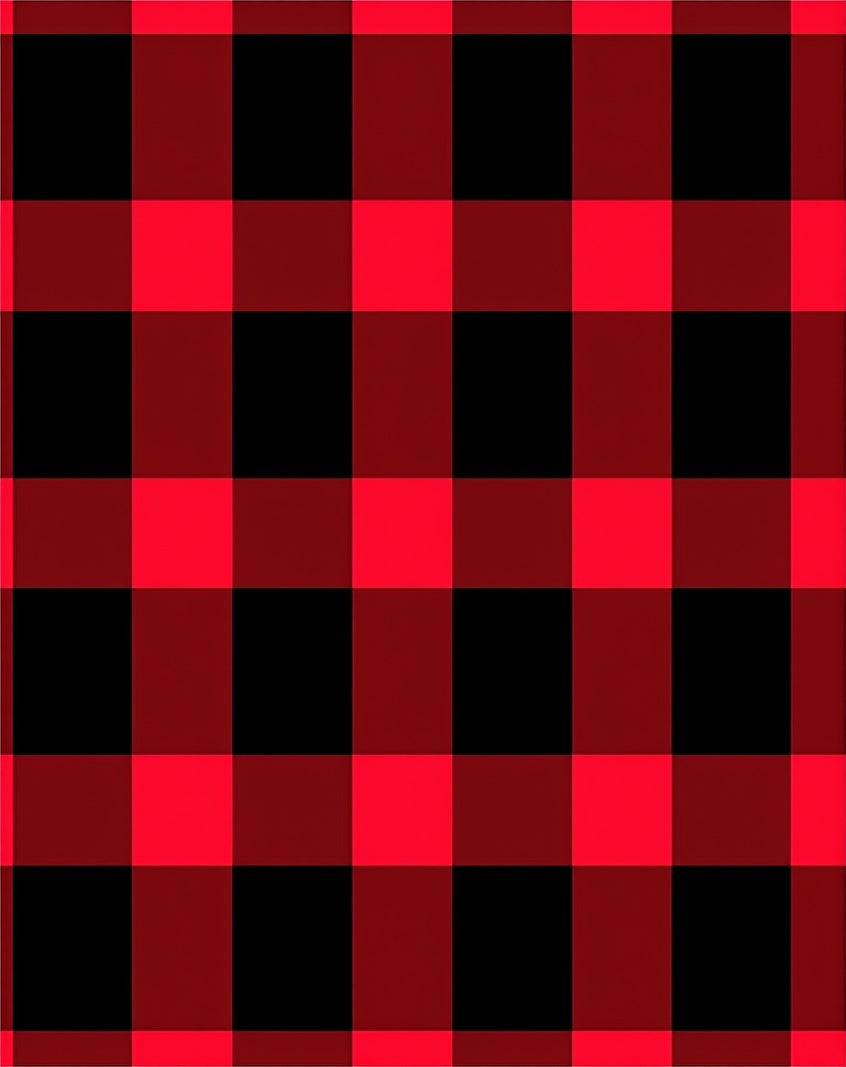 Bold Red Black Gingham Checkered Rug