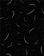 Dark Gray Abstract Organic Shapes Rug