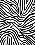 Striking Black White Wavy Lines Rug
