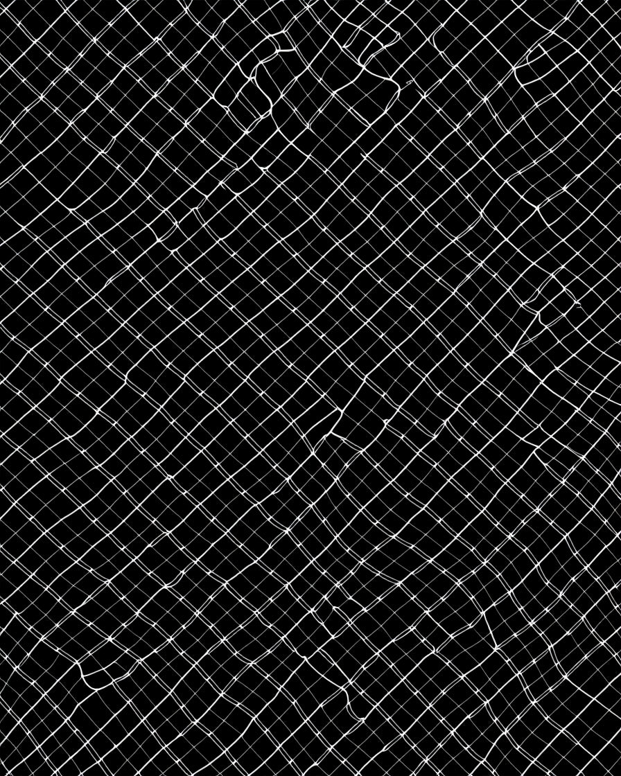 Black White Net Abstract Rug