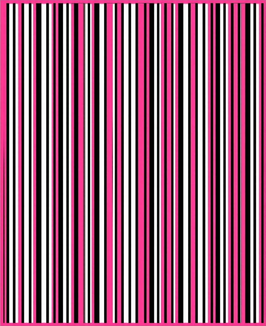 Vibrant Pink Black White Stripe Rug