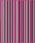 Vibrant Pink Black White Stripe Rug