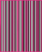 Vibrant Pink Black White Stripe Rug