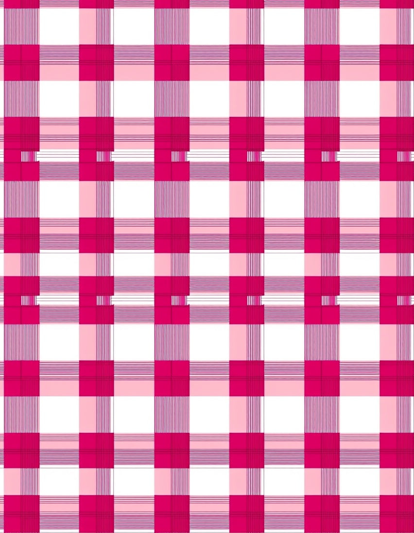 Vibrant Pink Gingham Blanket Rug
