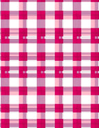 Vibrant Pink Gingham Blanket Rug