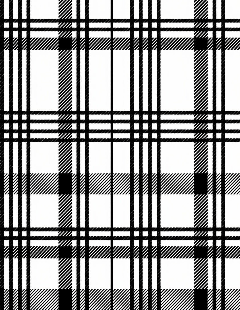 Classic Black White Plaid Lines Rug
