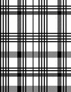 Classic Black White Plaid Lines Rug