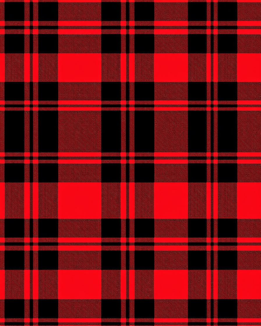 Red Black Plaid Traditional Check Rug