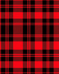 Red Black Plaid Traditional Check Rug