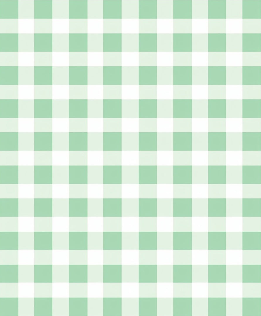 Light Green White Gingham Checkered Rug