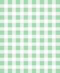 Light Green White Gingham Checkered Rug