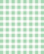 Light Green White Gingham Checkered Rug