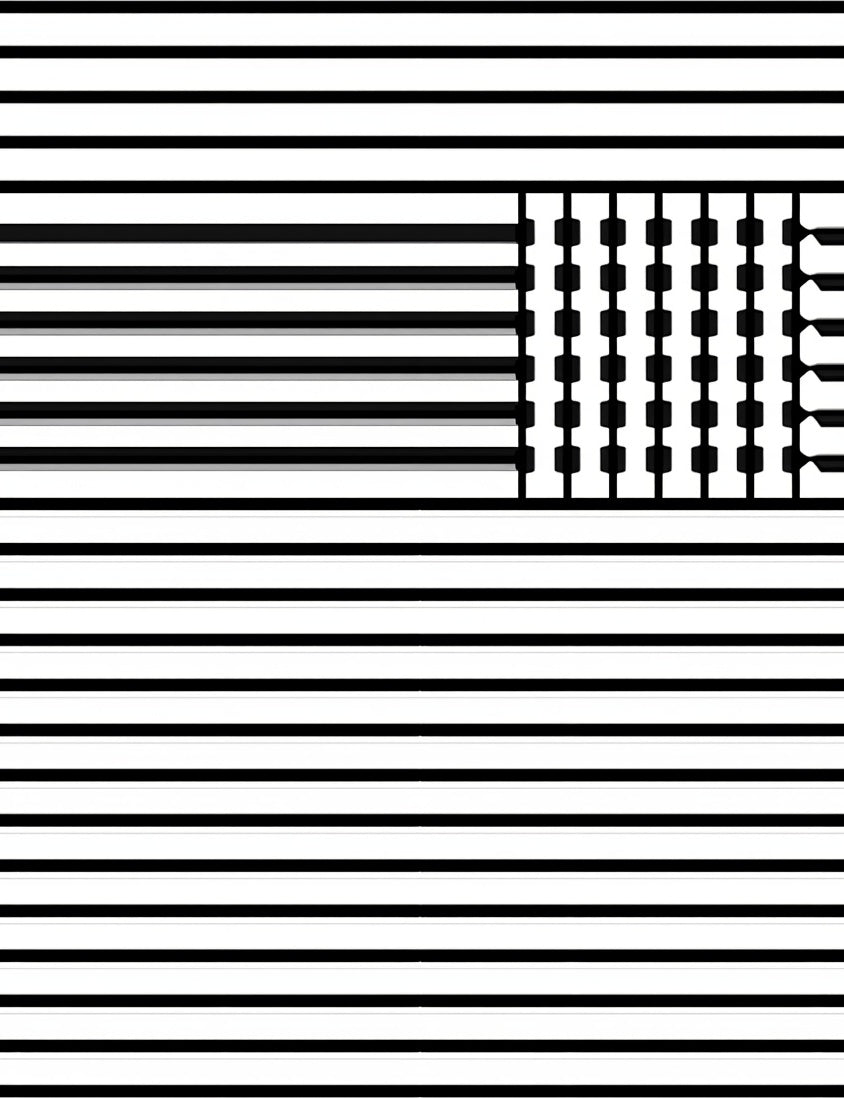 Modern Black White Stripe Field Rug