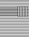 Modern Black White Stripe Field Rug